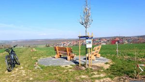 Die am 7. Februar 2026 neu aufgestellten Spessartbänkli an der schönen Else in Eisingen