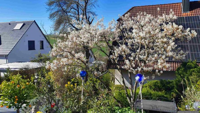 Unser Garten am 7. April 2026