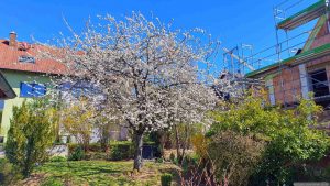 Unser Garten am 8. April 2026