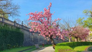 Parkanlage Klein Nizza in Würzburg am Main am 17. April 2026