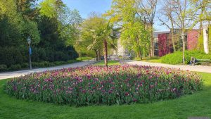Klein Nizza in Richtung Ottostraße in Würzburg am Main am 17. April 2026