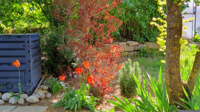 Unser Garten am 1. Mai 2026