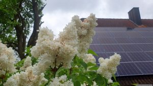 Unser Garten am 7. Mai 2026