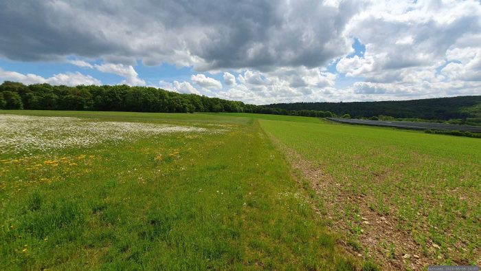 Wetterbild aus Waldbrunn am 8. Mai 2026