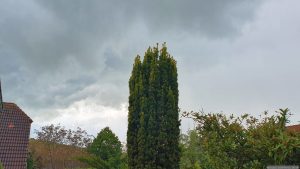 Gewitter mit Starkregen in Eisingen am 13. Mai 2026, dem Eröffnungstag des 104. Deutschen Katholikentages in Würzburg