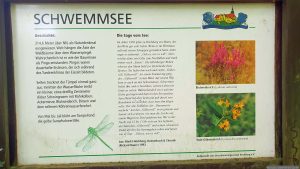 Infotafel am Naturdenkmal Schwemmsee auf Höchberger Gemarkung während unserer Wanderung am 24. Mai 2026 (Pfingstsonntag)