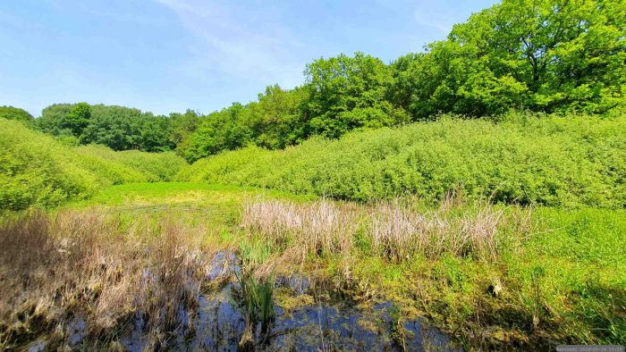 Naturdenkmal Längsee auf Waldbüttelbrunner Gemarkung während unserer Wanderung am 24. Mai 2026 (Pfingstsonntag)