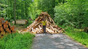 Holzhaufen auf dem Weg zum Köhlerbrunnen bei Waldbrunn während unserer Wanderung am 24. Mai 2026 (Pfingstsonntag)