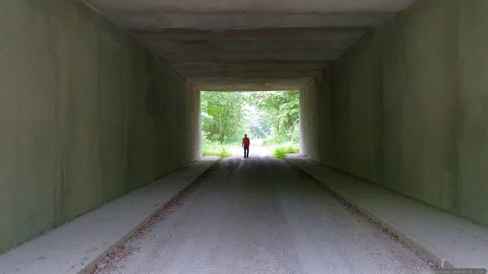Wanderung von Eisingen zum Blutsee-Moor am 31. Mai 2026