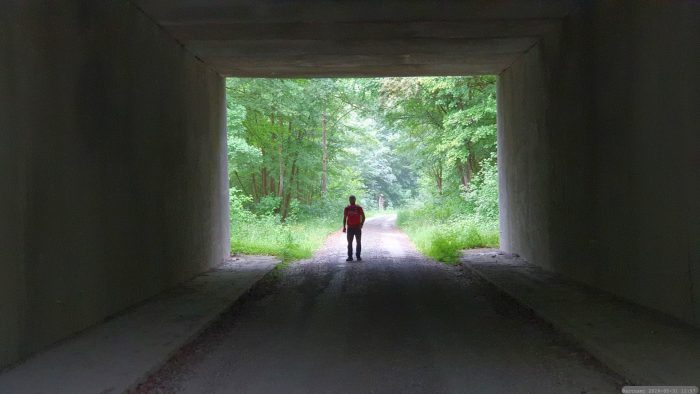 Wanderung von Eisingen zum Blutsee-Moor am 31. Mai 2026