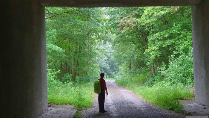 Wanderung von Eisingen zum Blutsee-Moor am 31. Mai 2026
