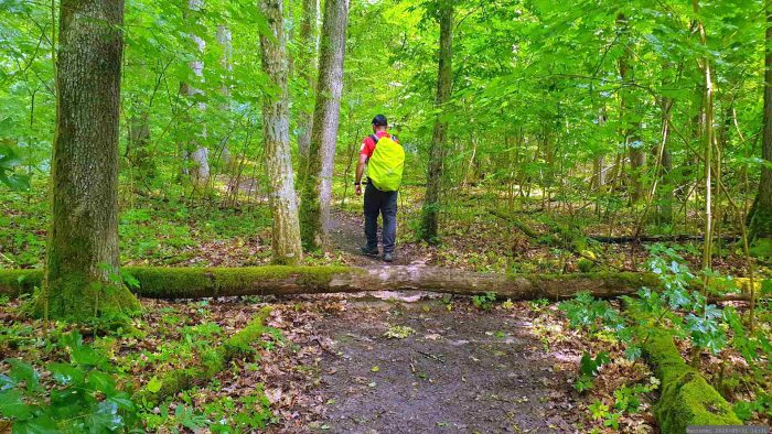 Auf dem Rundweg am Naturschutzgebiet Blutsee-Moor am 31. Mai 2026