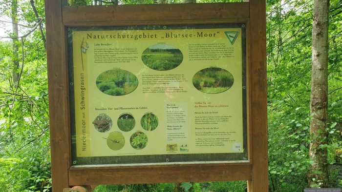 Infotafel am Blutsee-Moor