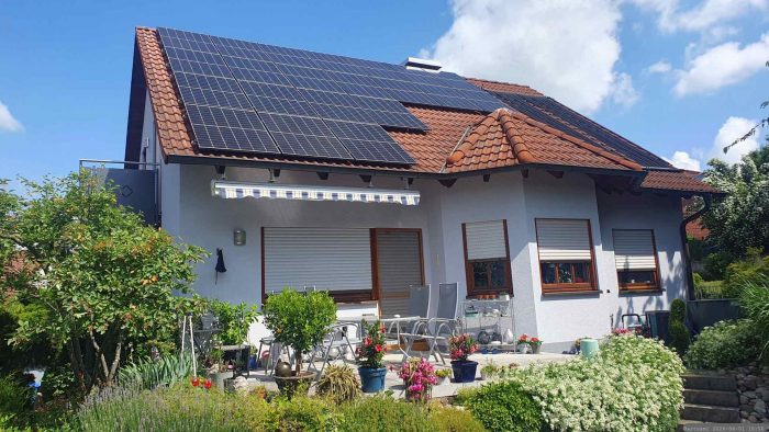 Unser Garten am 1. Juni 2026