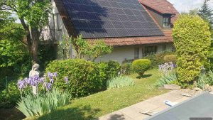 Unser Garten am 1. Juni 2026