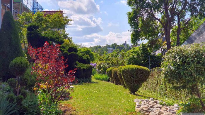 Unser Garten am 1. Juni 2026