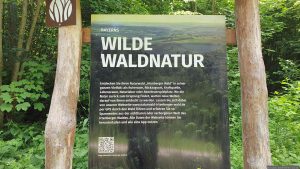 Infotafel Naturwald "Irtenberger Wald" am 7. Juni 2026
