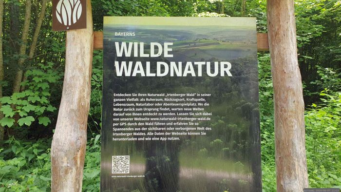 Infotafel Naturwald "Irtenberger Wald" am 7. Juni 2026