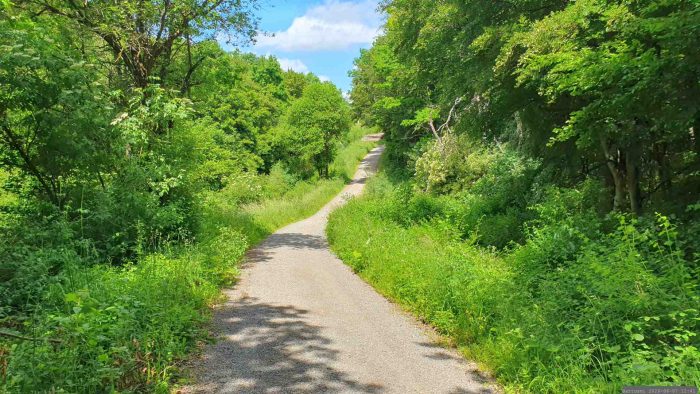 Weg entlang der BAB A 7 im Naturwald "Irtenberger Wald" am 7. Juni 2026