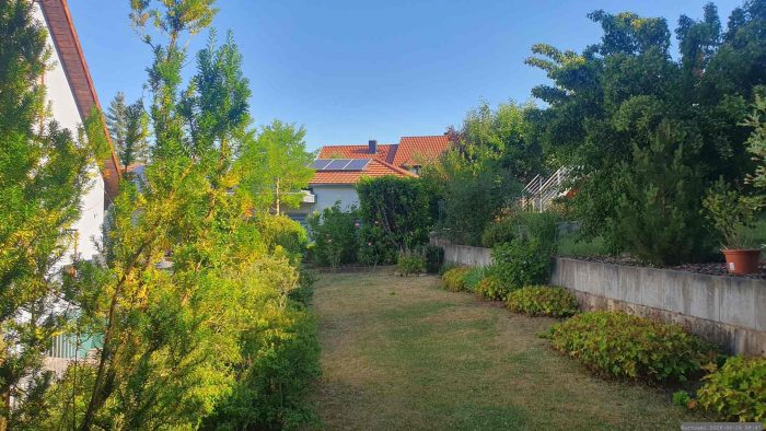 Unser Garten am 24. Juni 2026