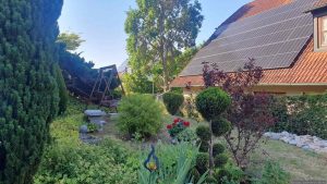 Unser Garten am 24. Juni 2026