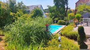 Unser Garten am 27. Juni 2026, mit 40 °C dem bislang heißtesten Tag des Jahres