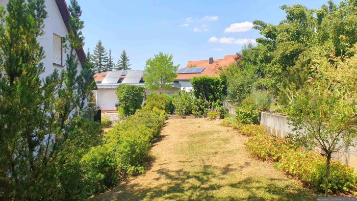 Unser Garten am 27. Juni 2026, mit 40 °C dem bislang heißtesten Tag des Jahres
