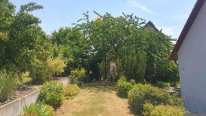 Unser Garten am 27. Juni 2026, mit 40 °C dem bislang heißtesten Tag des Jahres