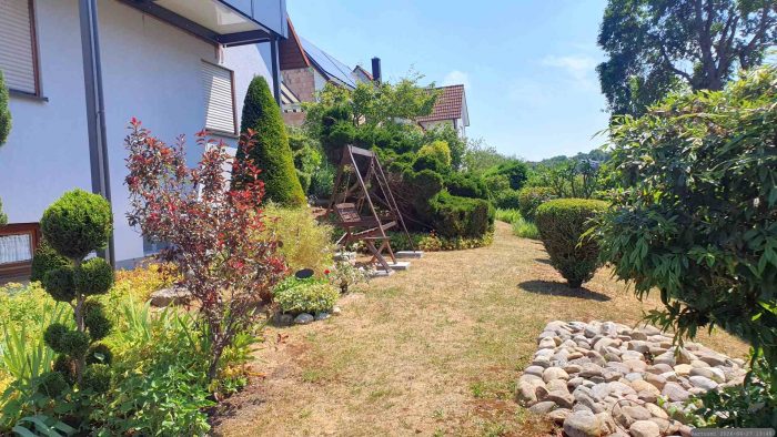 Unser Garten am 27. Juni 2026, mit 40 °C dem bislang heißtesten Tag des Jahres