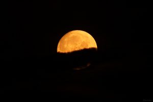 Untergehender zunehmender Mond (98,9% beleuchtet) am 29. Juni 2026