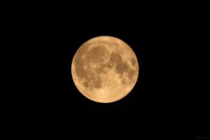 Vollmond am 30. Juni 2026, zu 99,8% beleuchtet, 403.871 km von der Erde entfernt.