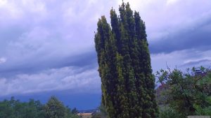 Wetterbild aus Eisingen vom 1. Juli 2026 - Gewitter aus Südwesten