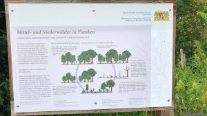 Infotafel während unserer Wanderung am 17. Juli 2026 am Staffelsberg in Ochsenfurt
