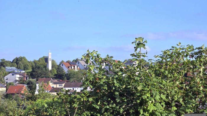 Wetterbild aus Eisingen vom 19. Juli 2026