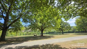 Badesee Erlabrunn am 25. Juli 2026