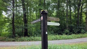 Wegweiser im Guttenberger Wald