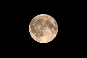 Zu 99,9% beleuchteter abnehmender Mond in Erdferne am 30. Juli 2026, 17° über dem SSO-Horizont.