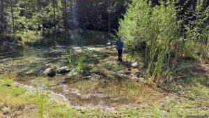 Florian Schmitt am 2. August 2026 während einer Wanderung an einem Tümpel im Guttenberger Wald