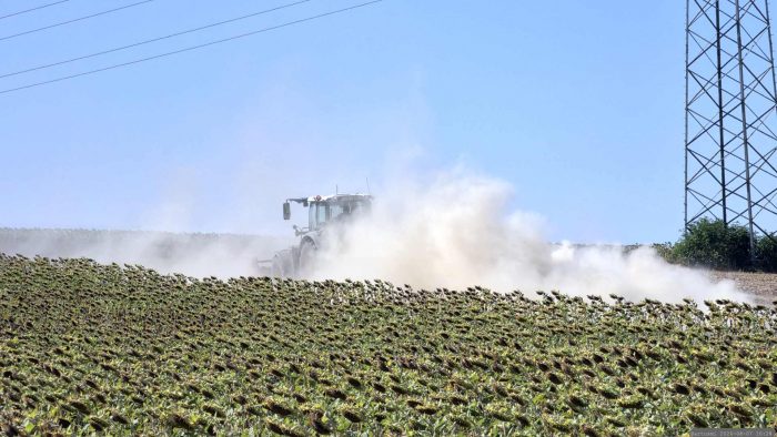 Die Trockenheit ist für die Landwirtschaft alles andere als schön