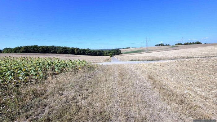 Eisingen - Goldene Leite Richtung Waldstück "Im Sohl"