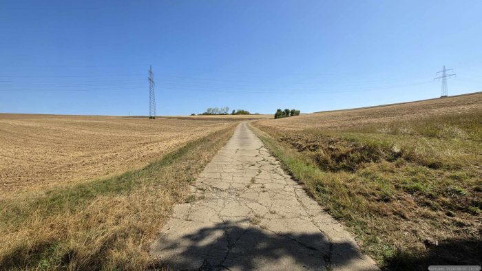 Blick zurück zum Ettersberg oberhalb von Eisingen