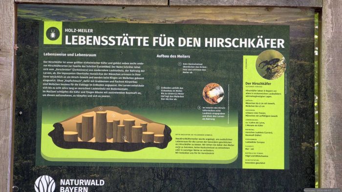 Infotafel auf unserem Weg durch den Irtenberger Wald