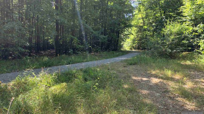 Waldweg von den Hoheitssäulen von 1584 zum Naturschutzgebiet Blutsee-Moor
