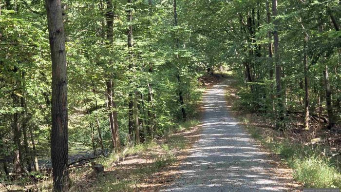 Richtung Blutsee-Moor geht es immer geradeaus
