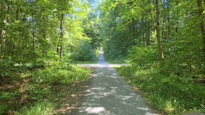 Richtung Blutsee-Moor geht es immer geradeaus