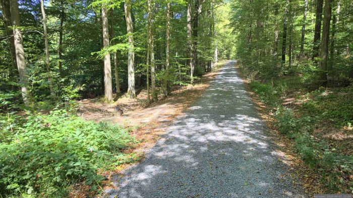Hier geht es links weg zum Rundweg am Blutsee-Moor. Geradeaus kommt man nach ca. 500 Metern zu St 578.