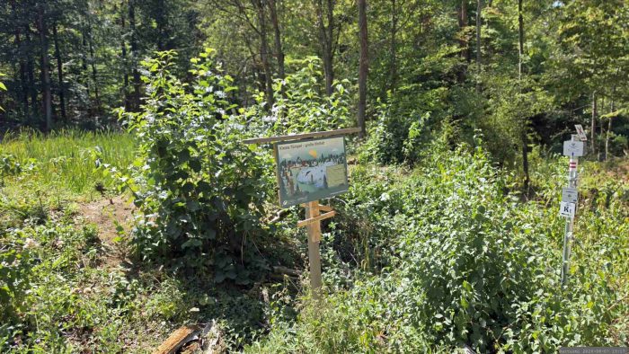 Tümpel am Wegrand Richtung Eisingen