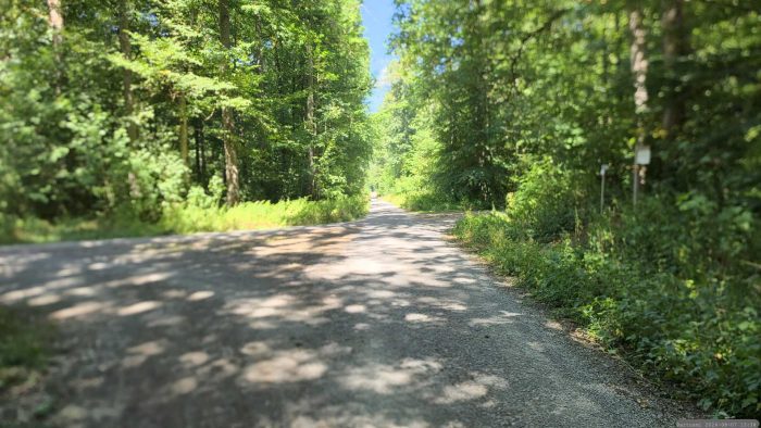 Wir folgen dem Weg geradeaus Richtung Eisingen