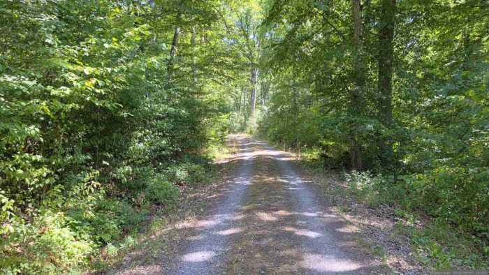 Waldweg in Richtung Erdaushubdeponie Eisingen