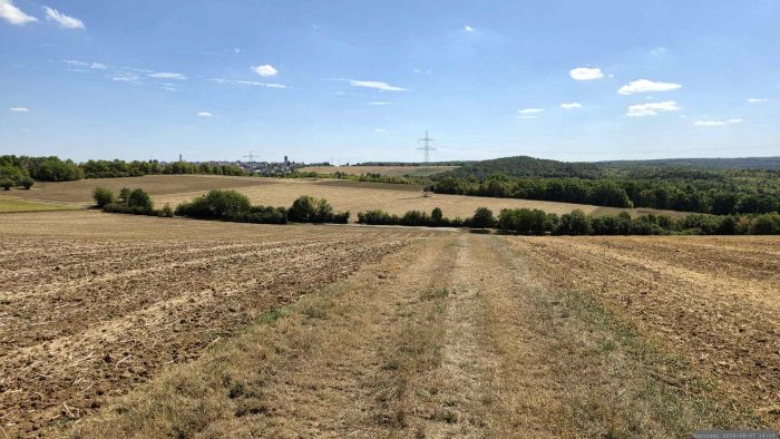 Blick zurück nach Kist und den Irtenberger Wald